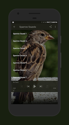 Sparrow Sounds - Image screenshot of android app