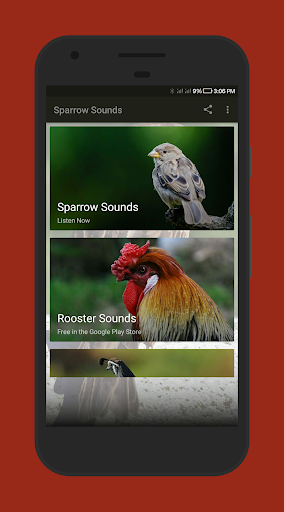 Sparrow Sounds - Image screenshot of android app