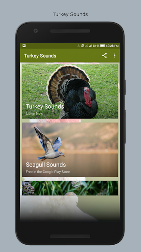 Turkey Sounds - Image screenshot of android app
