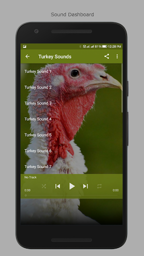 Turkey Sounds - عکس برنامه موبایلی اندروید
