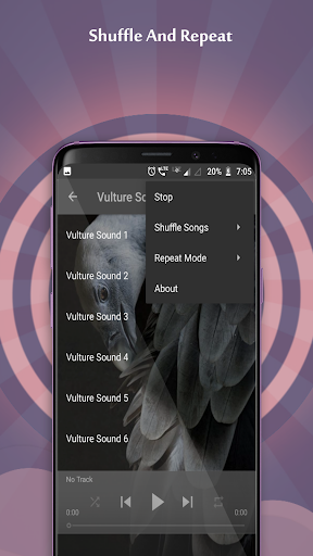 Vulture Sounds - Image screenshot of android app
