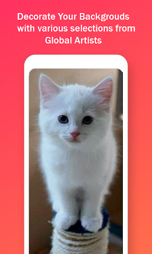 Cute Cat HD Wallpapers - Image screenshot of android app