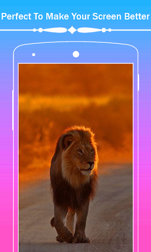 Lion HD Wallpapers - Image screenshot of android app