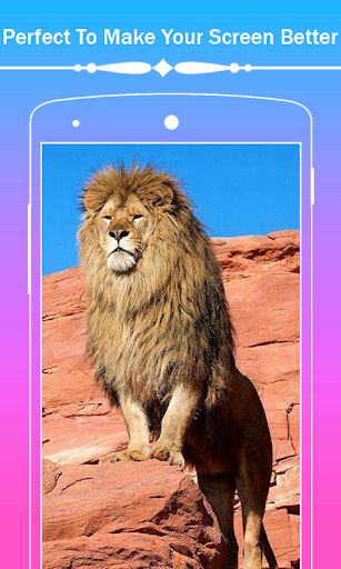 Lion HD Wallpapers - Image screenshot of android app