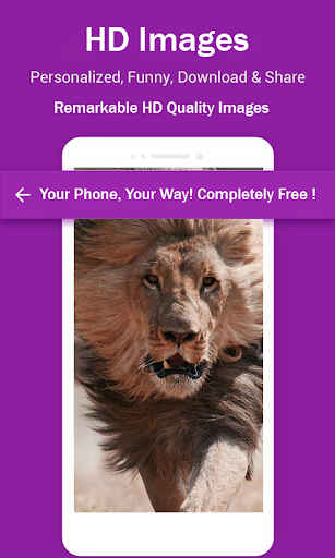 Lion HD Wallpapers - Image screenshot of android app