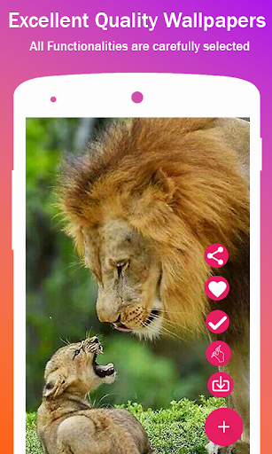 Lion HD Wallpapers - Image screenshot of android app