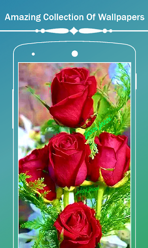 Roses Flower Wallpapers HD - Image screenshot of android app