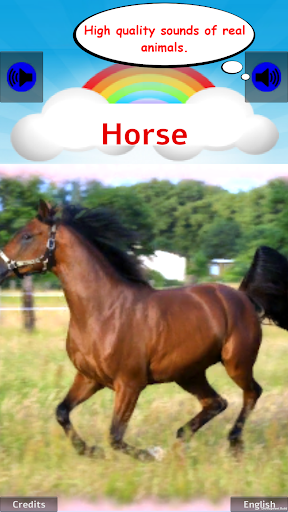 ۱۰۰ Animal sounds & pictures - عکس برنامه موبایلی اندروید