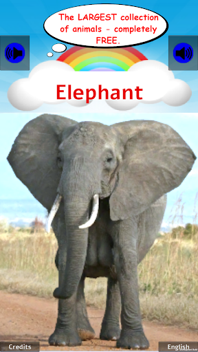 ۱۰۰ Animal sounds & pictures - عکس برنامه موبایلی اندروید