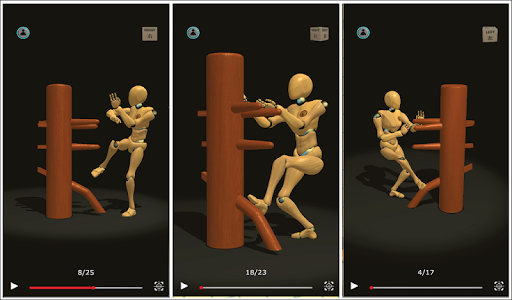 Wing Chun Trainer - Image screenshot of android app