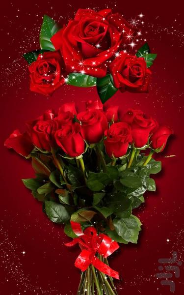 Rose image background - Image screenshot of android app