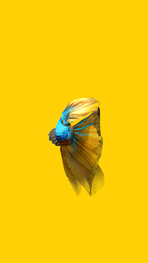 Betta Fish ۳D Lite - عکس برنامه موبایلی اندروید