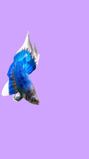 Betta Fish ۳D Lite - عکس برنامه موبایلی اندروید