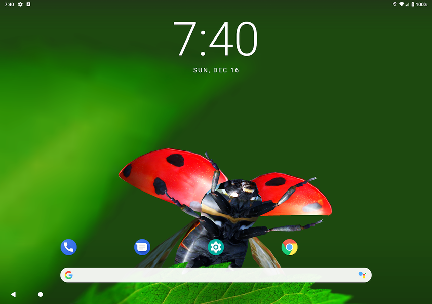 Bugs Life ۳D Free - ۳D Live Wa - عکس برنامه موبایلی اندروید