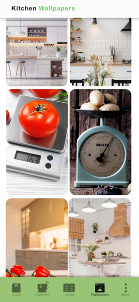 Digital Kitchen Scale Chart - Image screenshot of android app