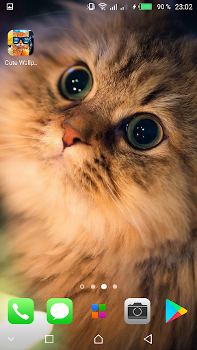 Kawaii Cats Wallpapers - Cute Backgrounds - Image screenshot of android app