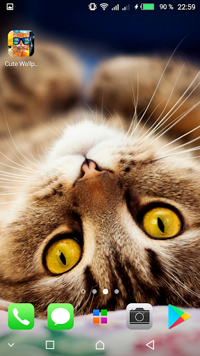 Kawaii Cats Wallpapers - Cute Backgrounds - Image screenshot of android app