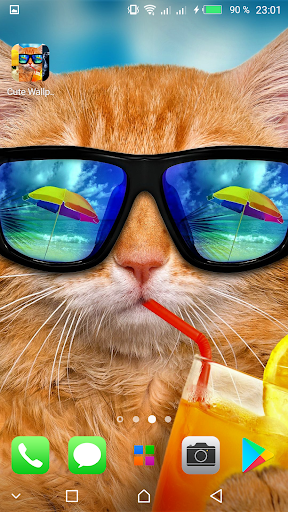 Kawaii Cats Wallpapers - Cute Backgrounds - Image screenshot of android app