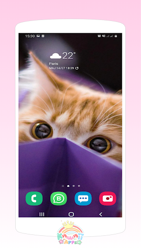 Kawaii Cats Wallpapers - Cute Backgrounds - Image screenshot of android app