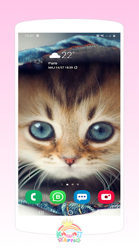 Kawaii Cats Wallpapers - Cute Backgrounds - Image screenshot of android app