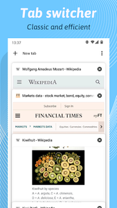Kiwi Browser - Fast & Quiet - Image screenshot of android app