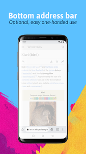 Kiwi Browser - Fast & Quiet - Image screenshot of android app