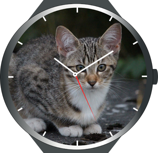 Cats Watch Faces - عکس برنامه موبایلی اندروید