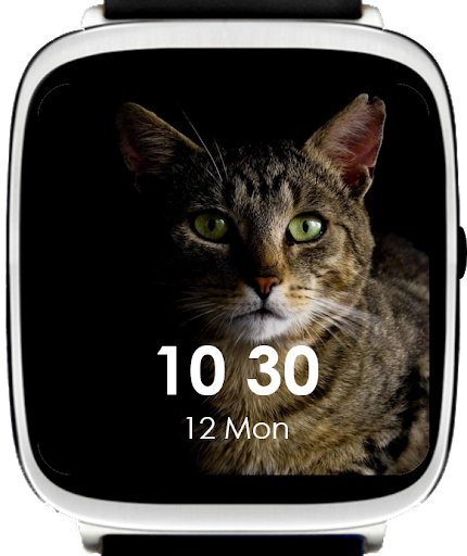 Cats Watch Faces - عکس برنامه موبایلی اندروید