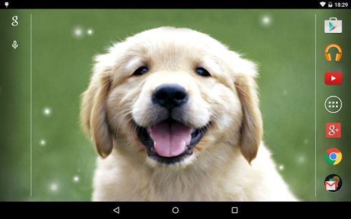Puppies Live Wallpaper - Image screenshot of android app