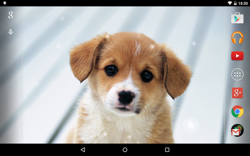 Puppies Live Wallpaper - Image screenshot of android app