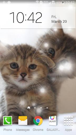 Q Cats Live Wallpaper - عکس برنامه موبایلی اندروید