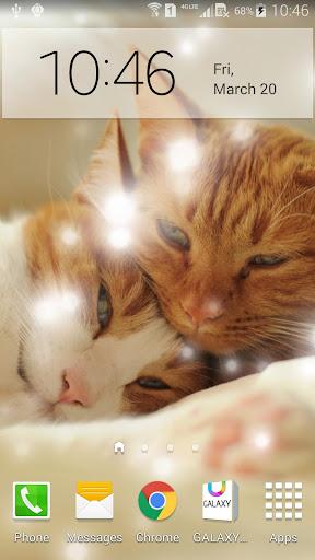 Q Cats Live Wallpaper - Image screenshot of android app