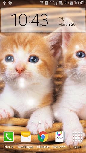 Q Cats Live Wallpaper - Image screenshot of android app