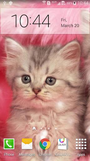 Q Cats Live Wallpaper - Image screenshot of android app