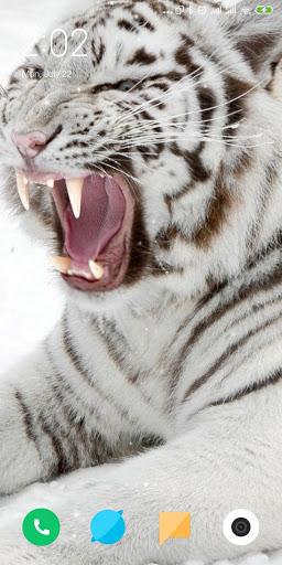 Tiger Live Wallpaper - Image screenshot of android app