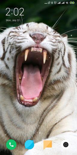 Tiger Live Wallpaper - Image screenshot of android app