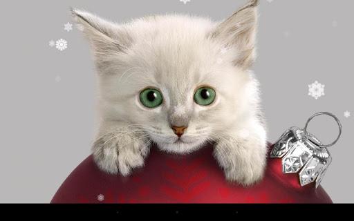 Xmas Cat Live Wallpaper - عکس برنامه موبایلی اندروید