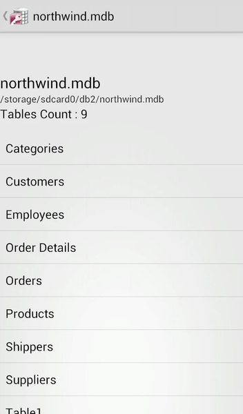 Viewer for MS Access ACCDB-MDB - عکس برنامه موبایلی اندروید