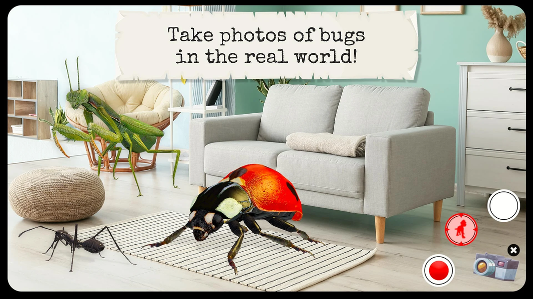Bugs & Insects VR/AR Kid Game - عکس بازی موبایلی اندروید