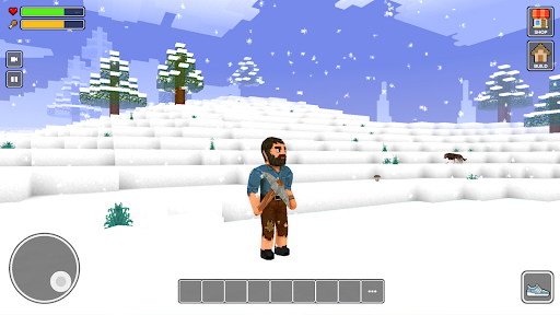 Craft World: Mini Block Craft - Gameplay image of android game