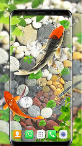 Koi Fish Live Wallpapers 3D for Android - Download | Cafe Bazaar