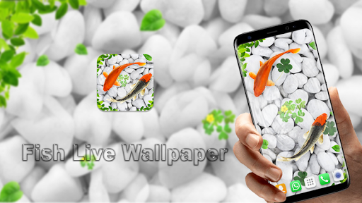 Koi Fish Live Wallpapers 3D for Android - Download | Cafe Bazaar Koi Fish Live Wallpapers 3D for Android - Download | Cafe Bazaar