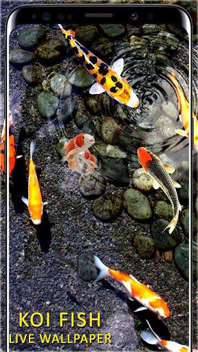 ۳D Koi Fish Wallpaper HD Fish Live Wallpapers Free - عکس برنامه موبایلی اندروید
