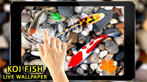 3D Koi Fish Wallpaper HD Fish Live Wallpapers Free for Android - Download | Cafe Bazaar 3D Koi Fish Wallpaper HD Fish Live Wallpapers Free for Android - Download | Cafe Bazaar