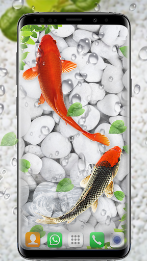 Koi Fish Live Wallpaper Free Android Live Wallpaper download ... | Fish  wallpaper, Live wallpapers, Koi fish