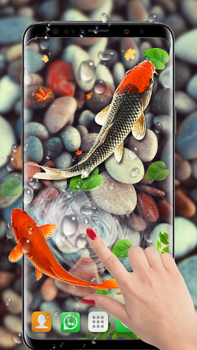 3d Animation Motion C3d Fish Animated Green 3d Background, 3d Bio Fish  Sign, One Of Larger Set Of High Quality Ecology Symbols, Check My Ecology  Set Background Image And Wallpaper for Free