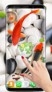 برنامه Koi Fish Live Wallpaper: New Fish Backgrounds HD - دانلود | کافه  بازار