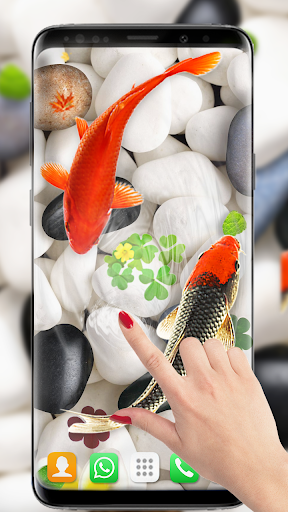 Koi Fish Live Wallpapers HD - Image screenshot of android app