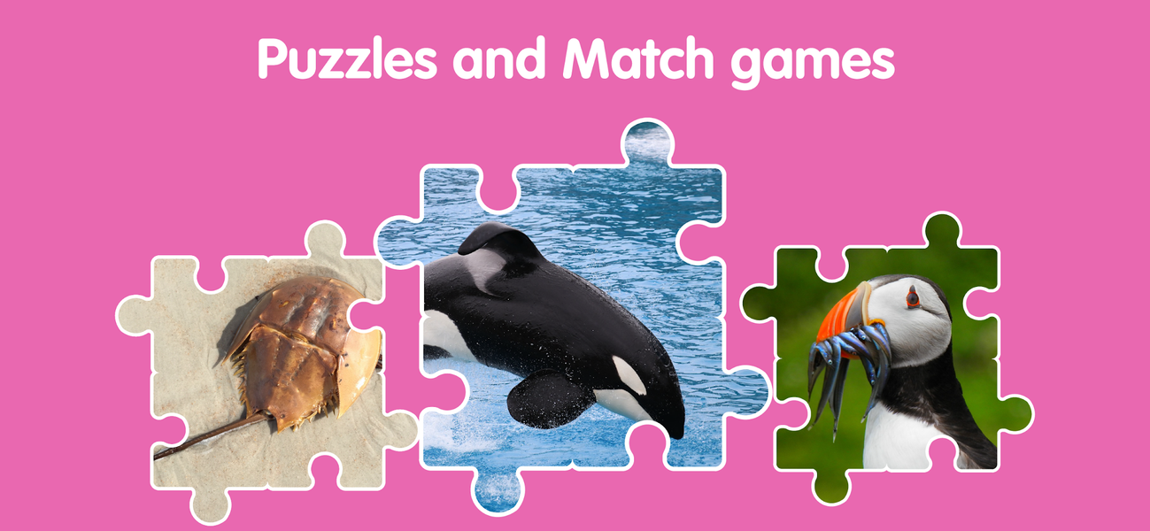 Learn Ocean Animals for kids - عکس برنامه موبایلی اندروید