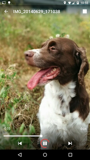 AllCast - Image screenshot of android app